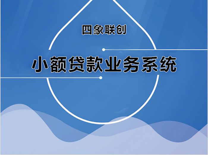 小額貸款業(yè)務系統(tǒng).jpg