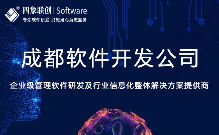 成都軟件開發公司.jpg