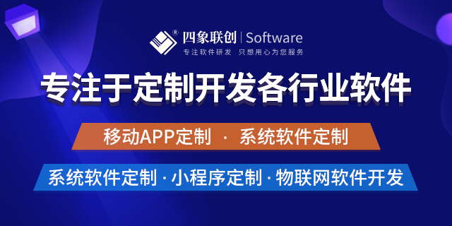 軟件開發定制公司.png